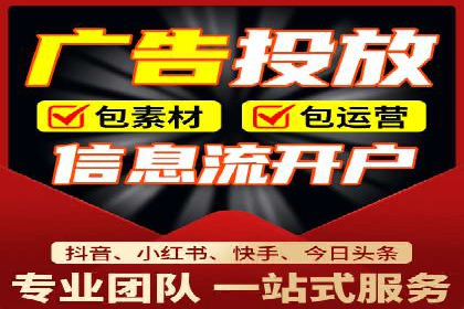 SEO与SEM优化案例：打造行业领先品牌
